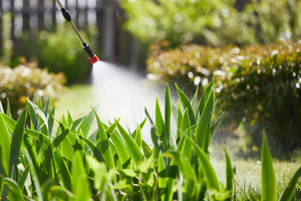 24/7 Emergency Ant Control experts in Hydesville, CA